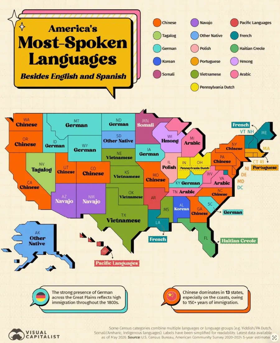 Visual Capitalist — U.S. Census Bureau, ACS 2020–2024